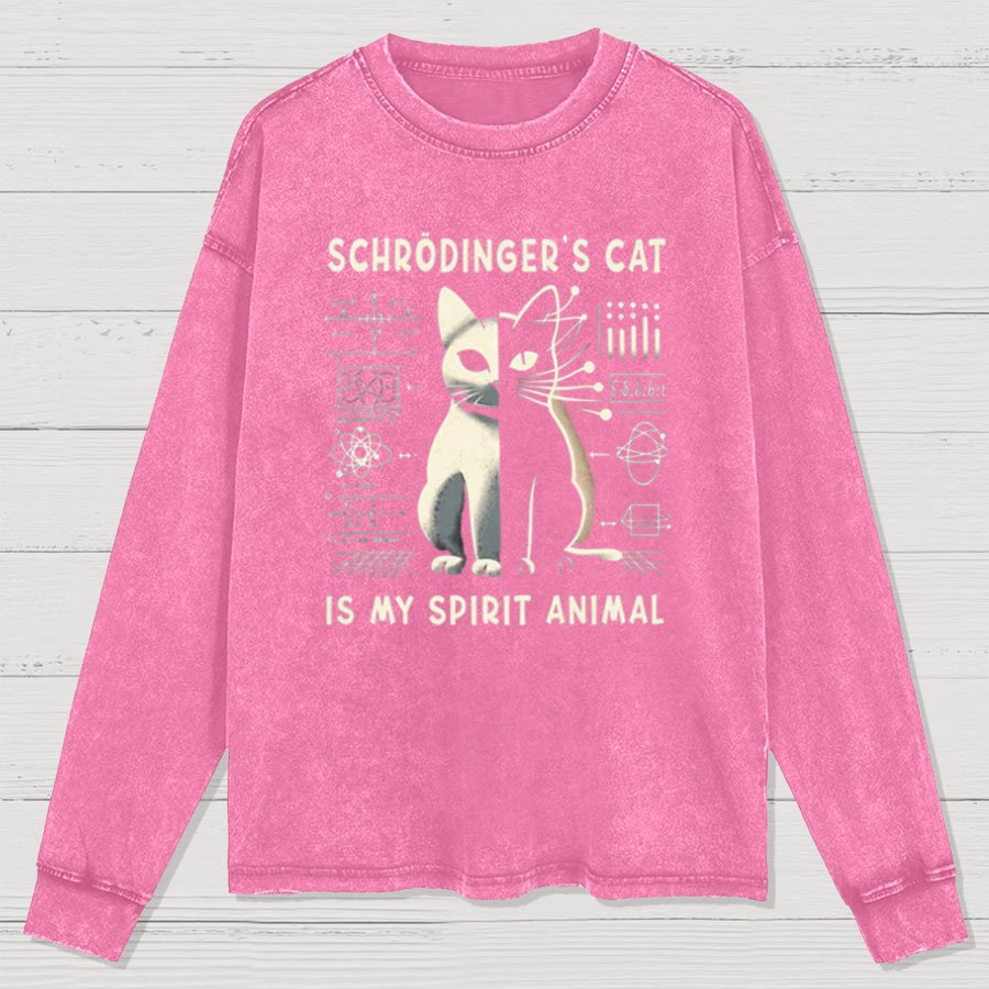 Schrodinger's Сat Science Washed Long Sleeve Tee