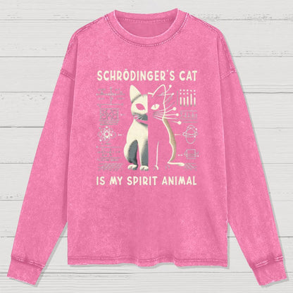 Schrodinger's Сat Science Washed Long Sleeve Tee