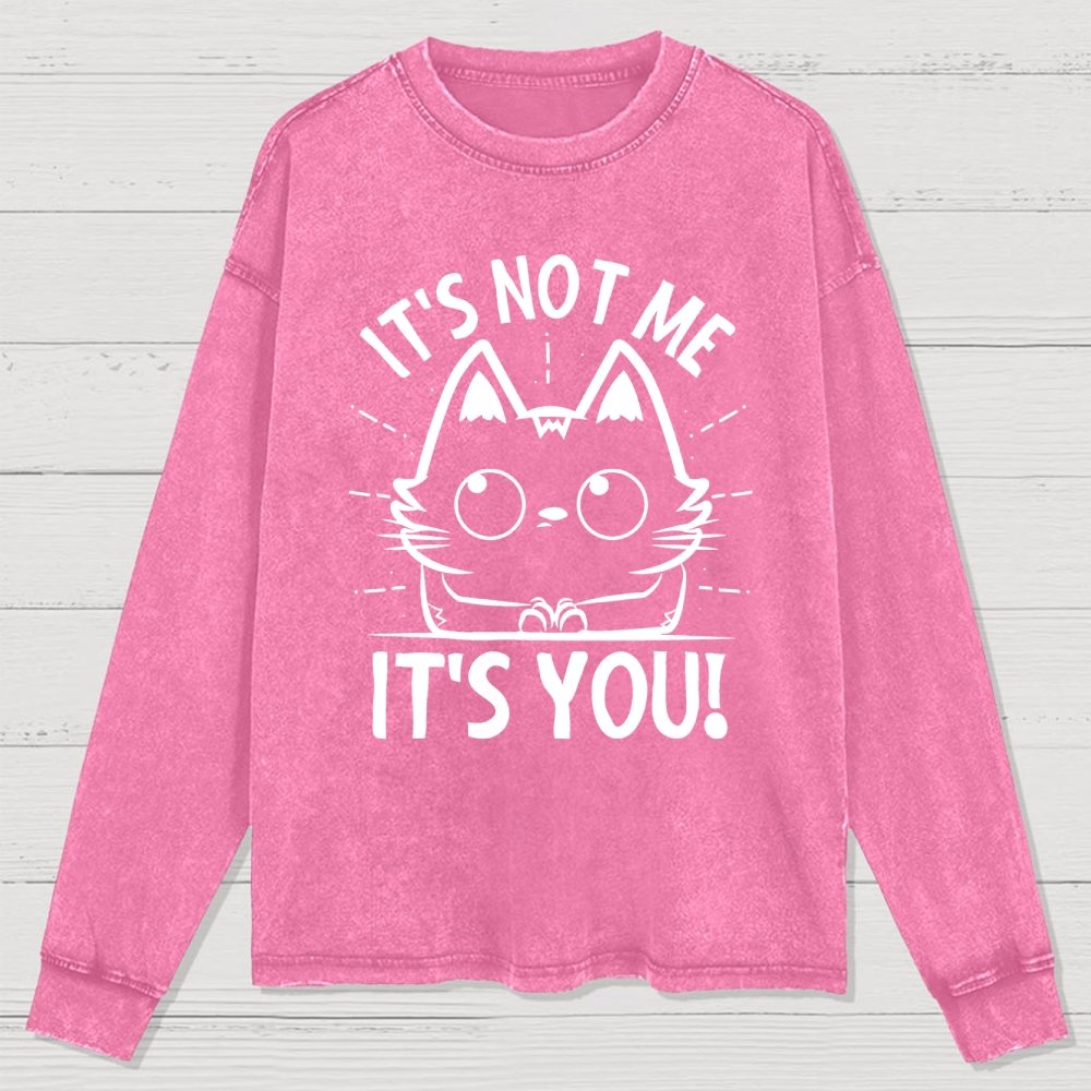 It's Not me It's You Washed Long Sleeve Tee