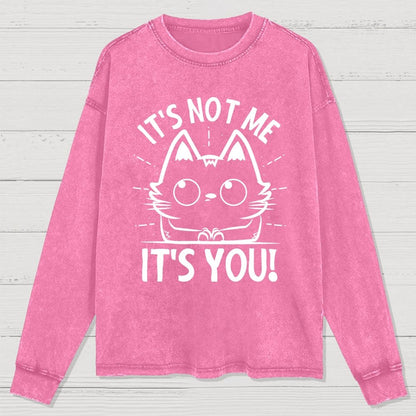 It's Not me It's You Washed Long Sleeve Tee