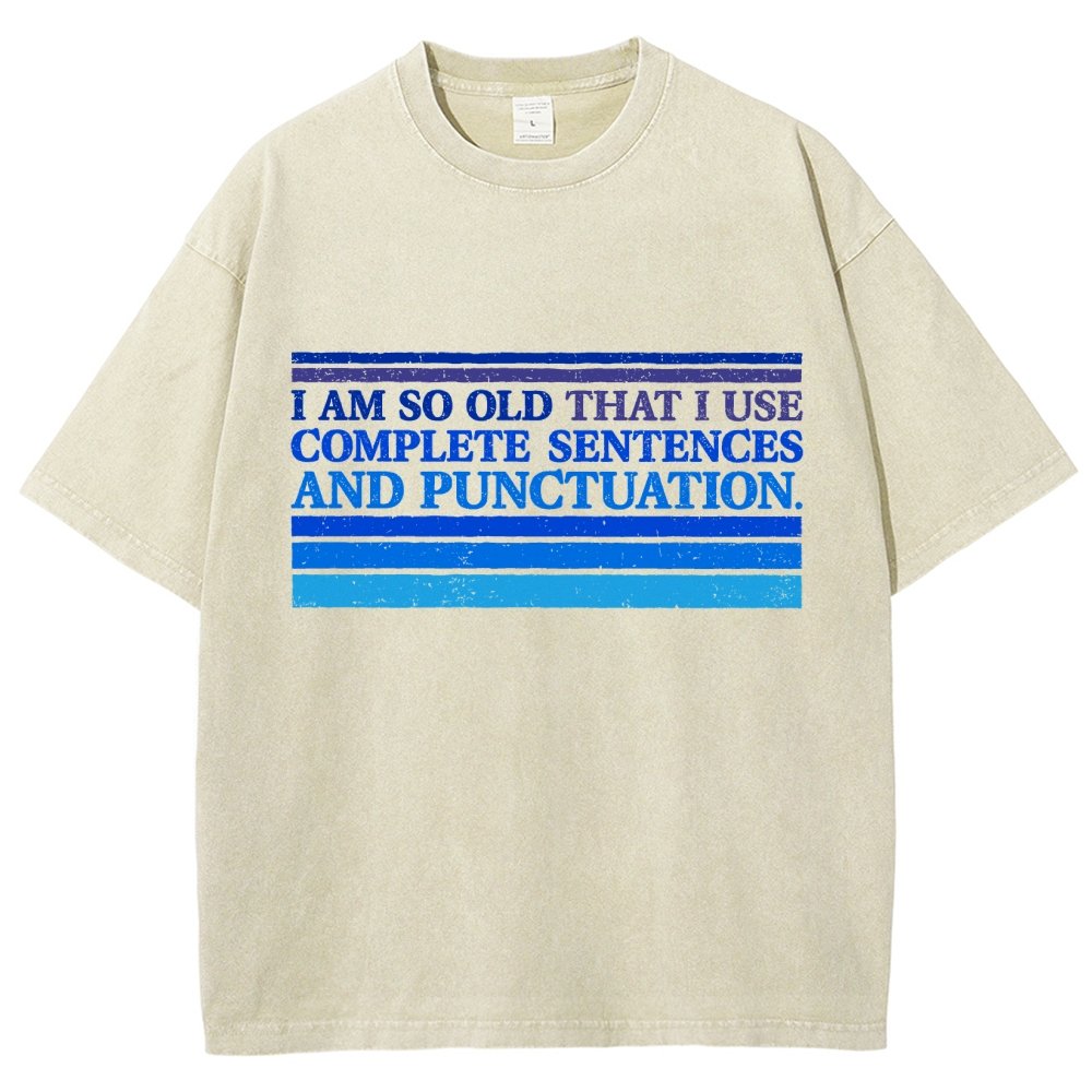 Complete Sentences and Punctuation Vintage Distressed T-shirt