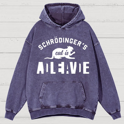 Schrodinger's Cat Vintage Distressed Hoodie