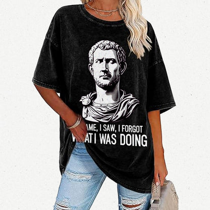 I Came  I saw  I forgot What I was Doing Vintage Distressed T-shirt