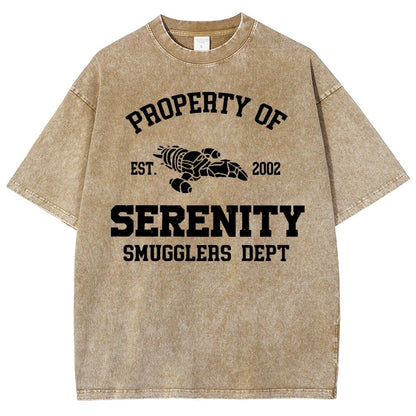 Property of Starlight Vintage Distressed T-shirt