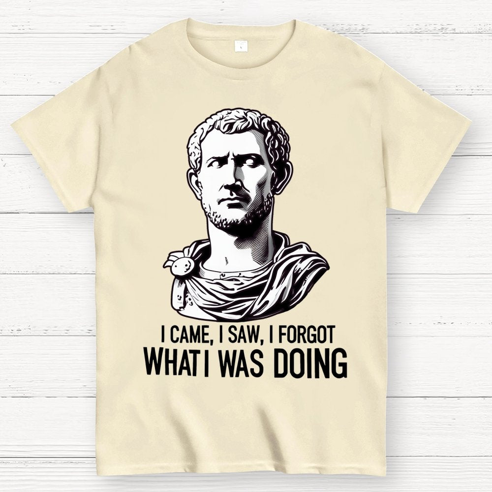 I Came  I saw  I forgot What I was Doing Geek T-Shirt