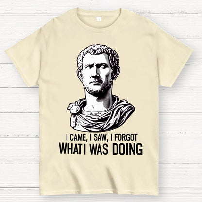 I Came  I saw  I forgot What I was Doing Geek T-Shirt