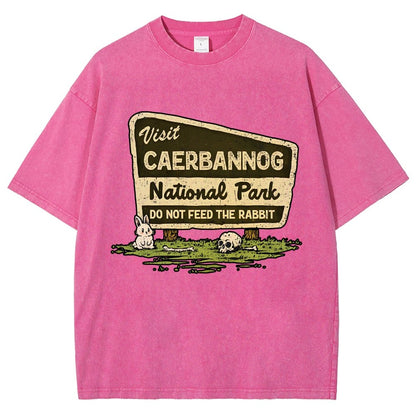 Mystic Valley National Park Vintage Distressed T-shirt