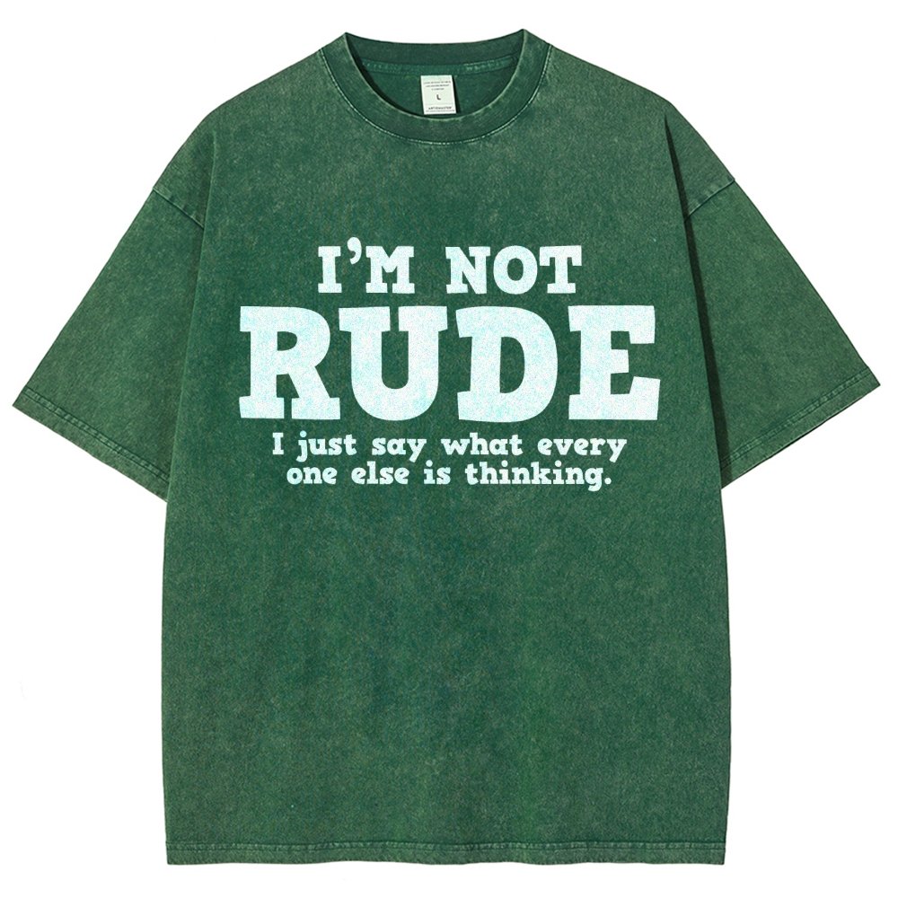 I'm not Rude I Just Have The Balls to Say What Everyone Else is Thinking Vintage Distressed T-shirt