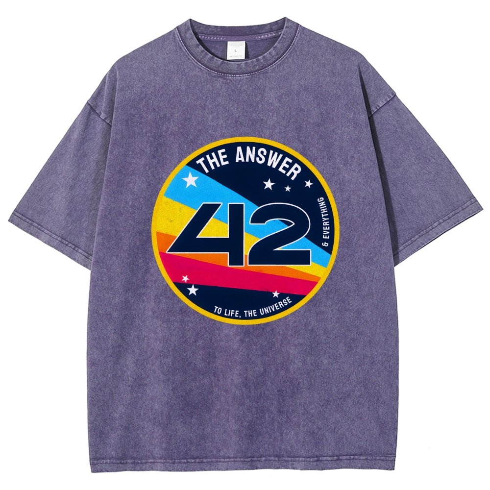 The Answer is 42 Vintage Distressed T-shirt