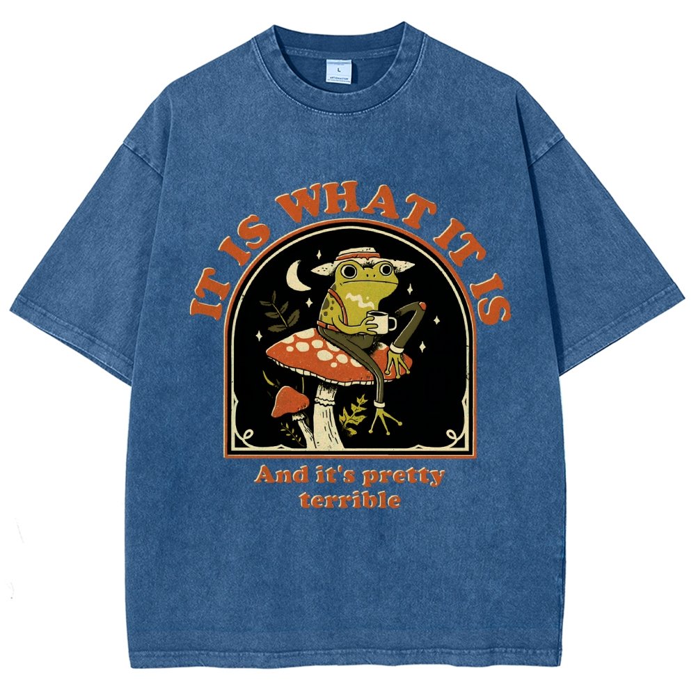 It Is What It Is And It's Pretty Terrible Vintage Distressed T-shirt
