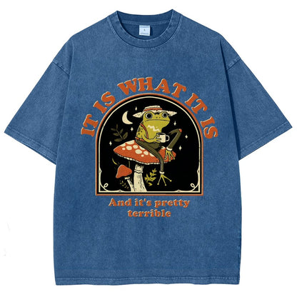 It Is What It Is And It's Pretty Terrible Vintage Distressed T-shirt