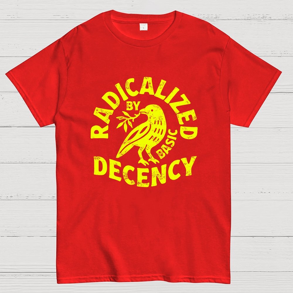 Radicalized By Basic Decency Geek T-Shirt