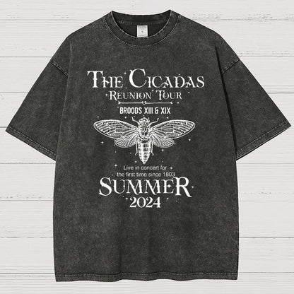 The Cicada Reunion U.S Tour 2024 Cicada Vintage Distressed T-shirt