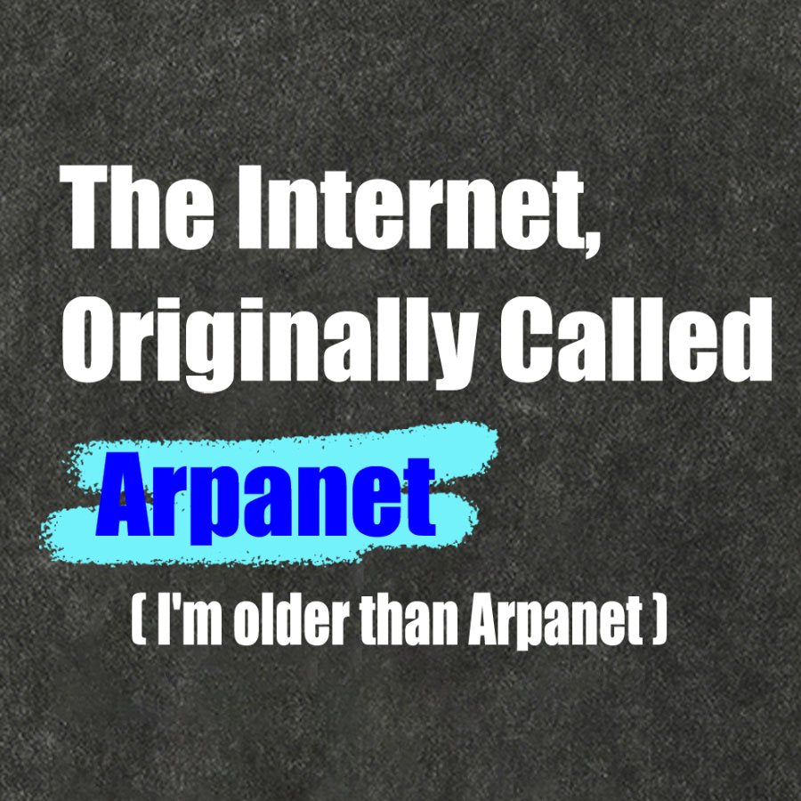 The Internet, Originally Called Arpanet Vintage Distressed T-shirt