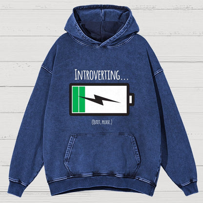 Introverting Vintage Distressed Hoodie