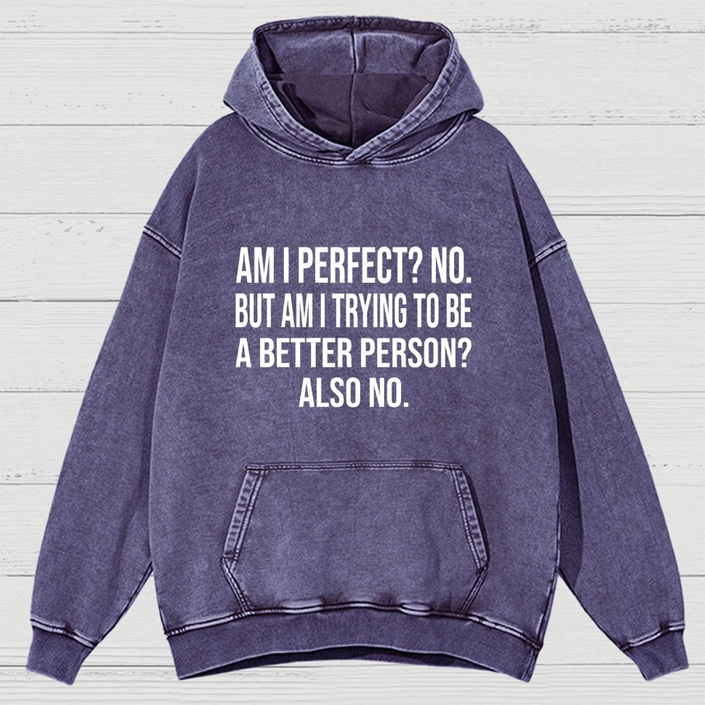 Am I Perfect No But Am I Trying To Be A Better Person Also No Vintage Distressed Hoodie