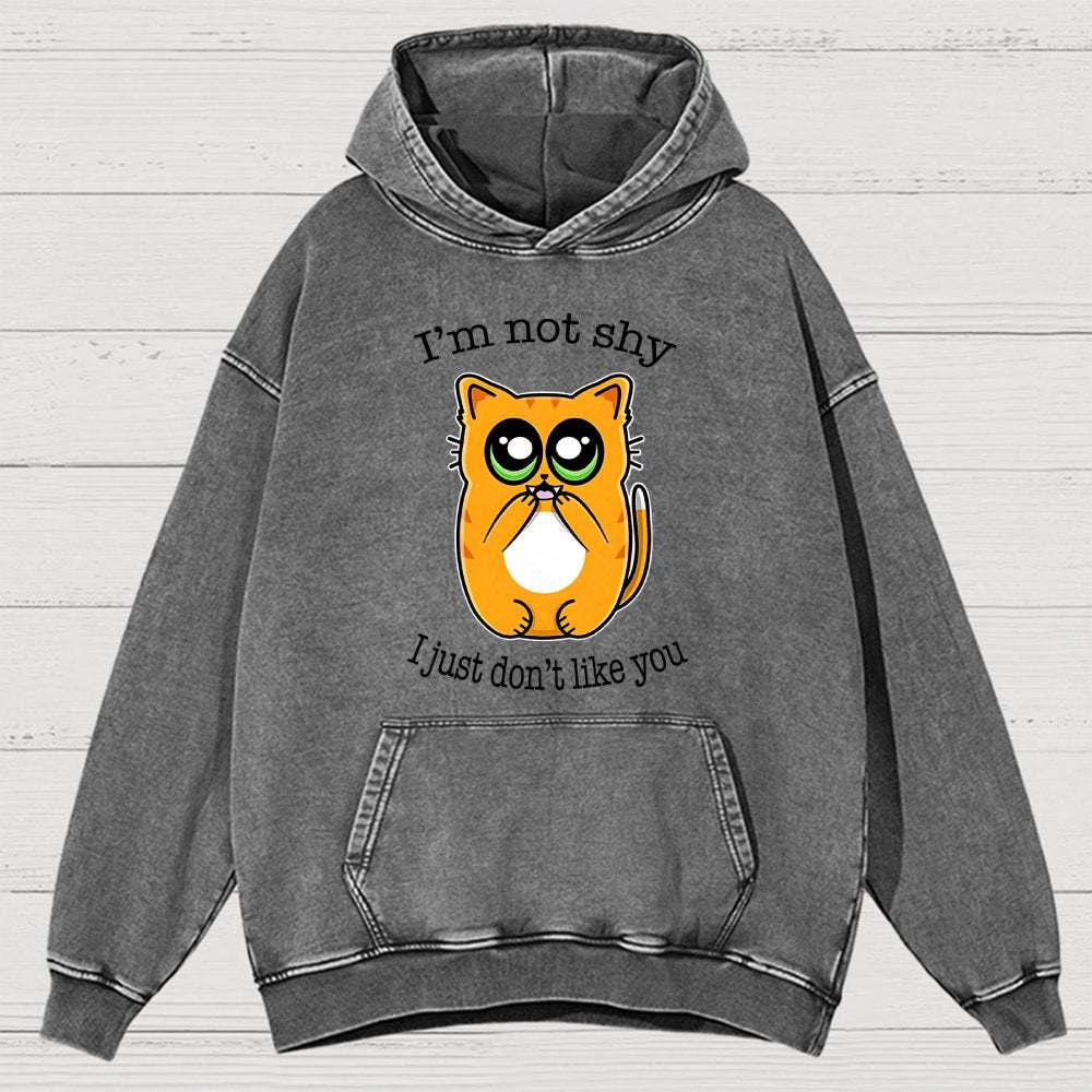Not Shy Vintage Distressed Hoodie