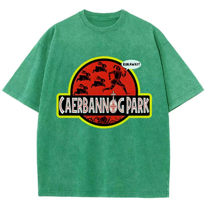 Greenwood Park Vintage Distressed T-shirt