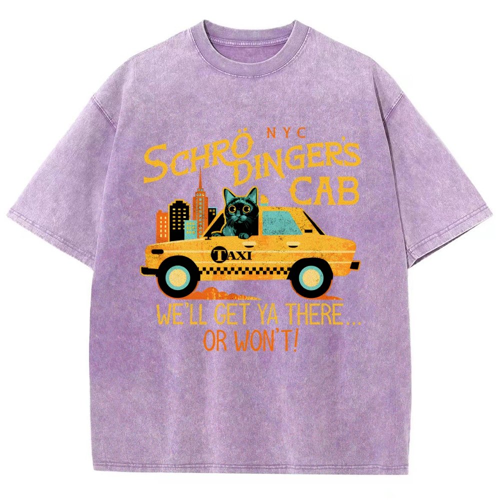 Schrodinger's Cab Vintage Distressed T-shirt