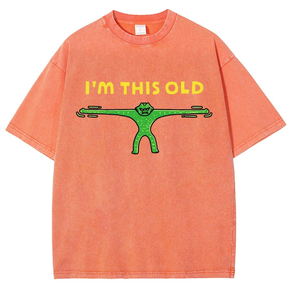 Old As Stretch Vintage Distressed T-shirt