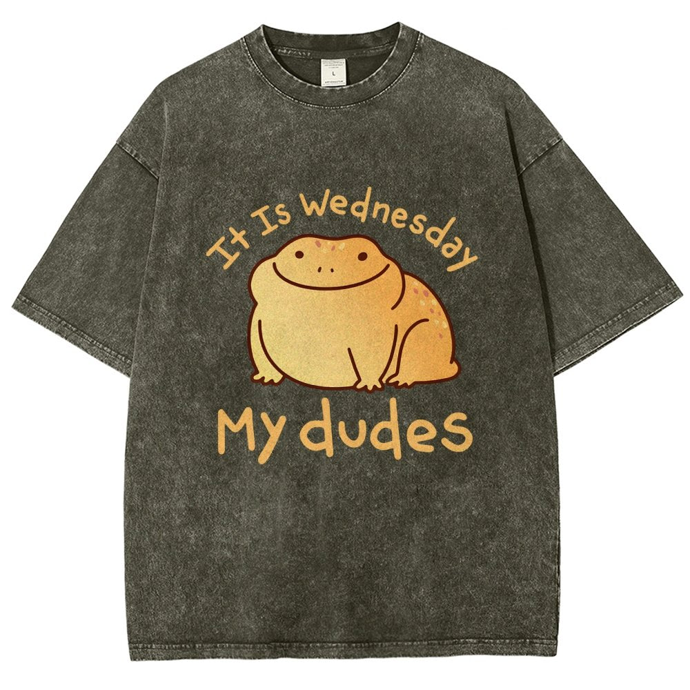 It's Wednesday My Dudes Vintage Distressed T-shirt