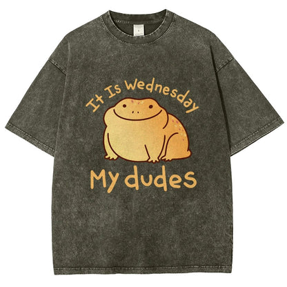 It's Wednesday My Dudes Vintage Distressed T-shirt