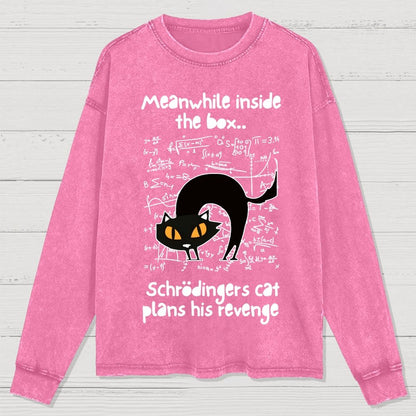 Schrodingers Cat Revenge Washed Long Sleeve Tee