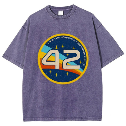 42 The Answer Of Everything Vintage Distressed T-shirt