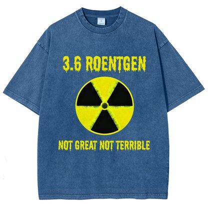3.6 Roentgen Not Great Not Terrible Vintage Distressed T-shirt