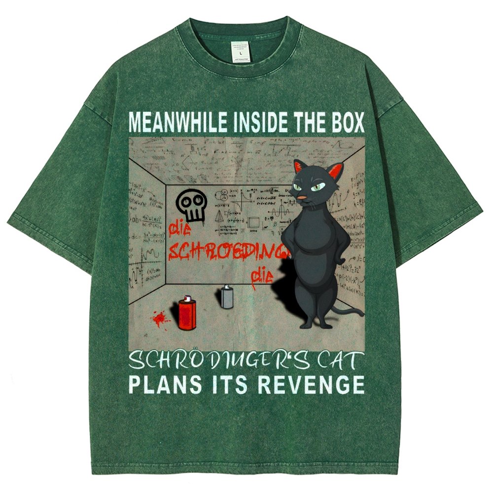 Inside The Box：Schrödingers Cat Plans Its Revenge Vintage Distressed T-shirt