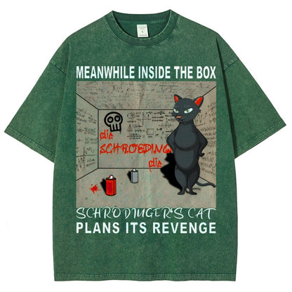 Inside The Box：Schrödingers Cat Plans Its Revenge Vintage Distressed T-shirt