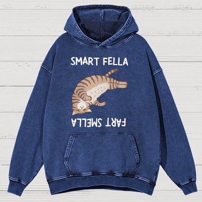 Smart Fella Fart Smella  Funny Cat Pun Vintage Distressed Hoodie