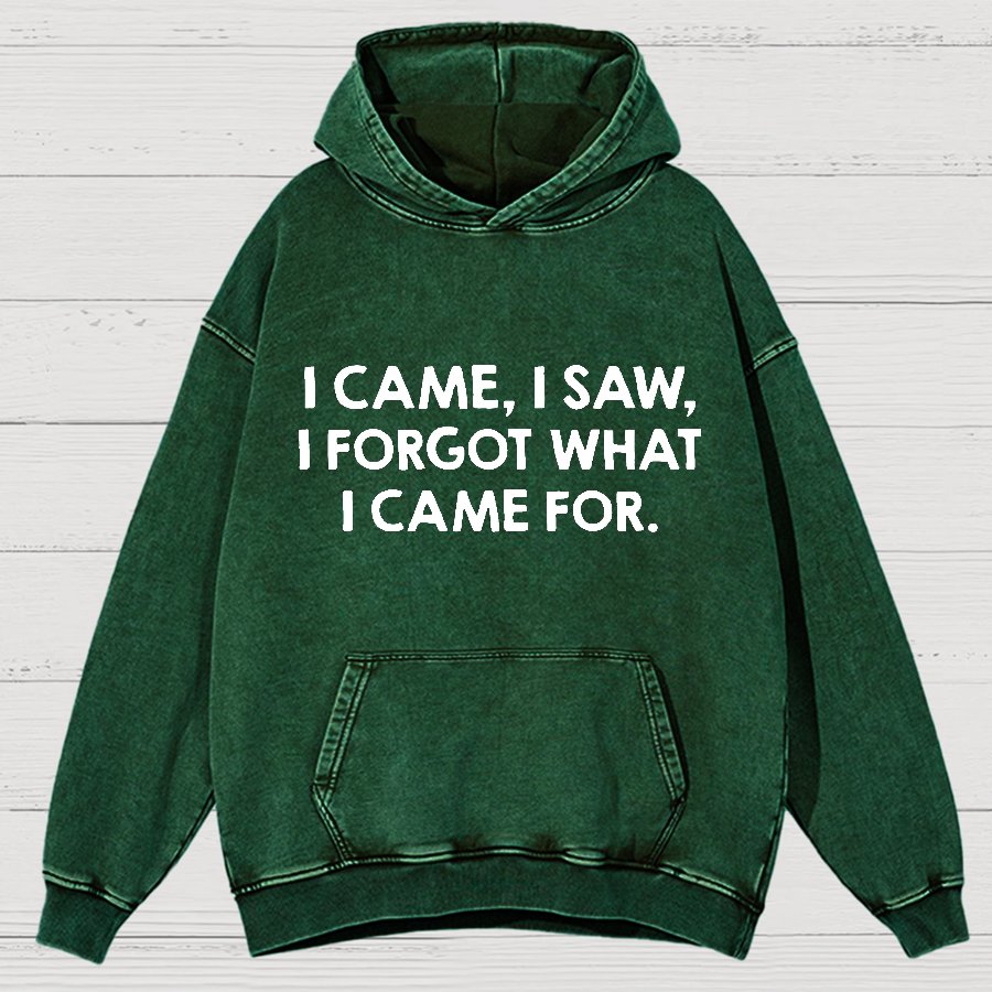 I Came and Saw Funny  Vintage Distressed Hoodie