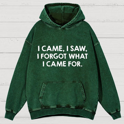 I Came and Saw Funny  Vintage Distressed Hoodie