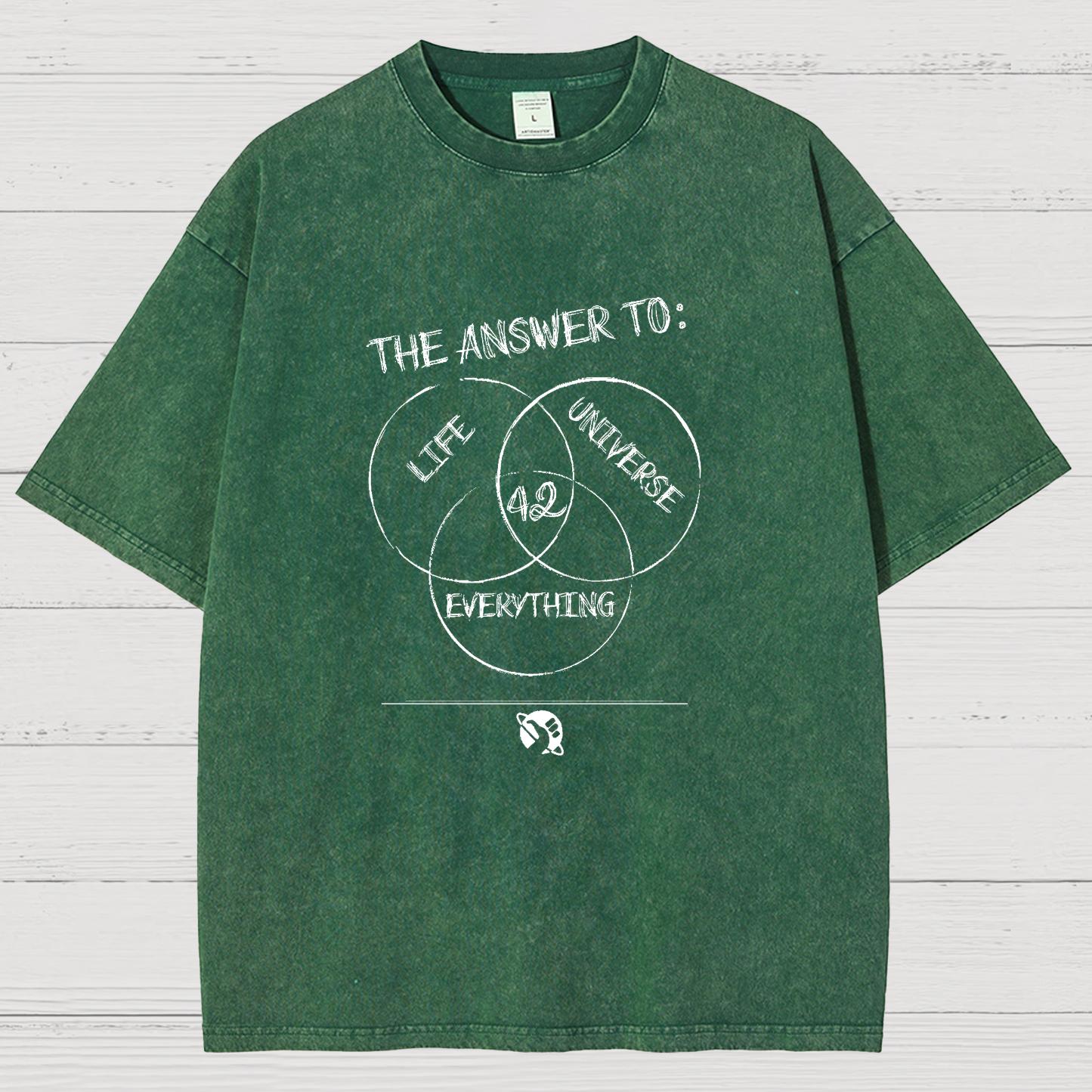 Diagram Of Everything Vintage Distressed T-shirt