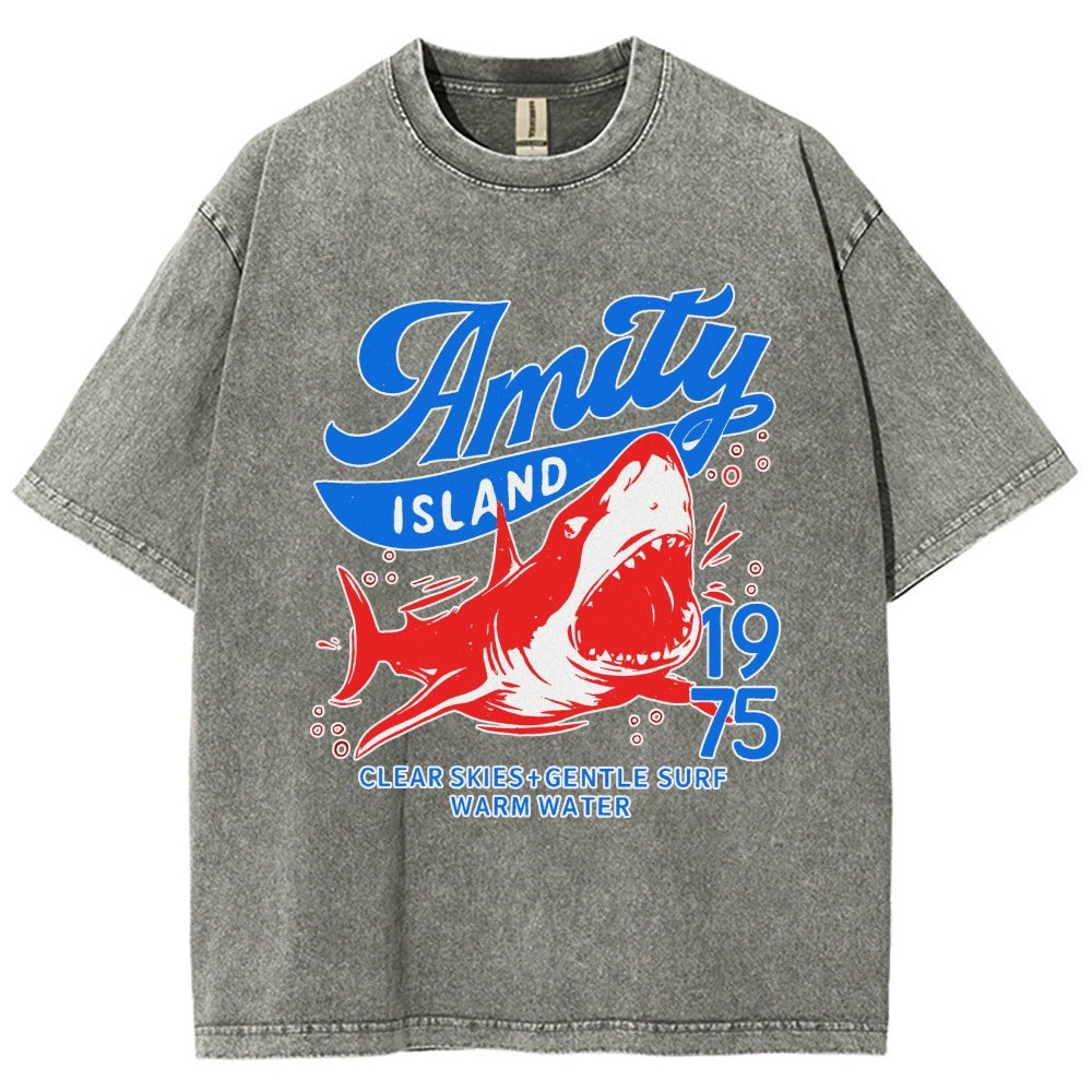 Seaside Town 1975 Vintage Distressed T-shirt
