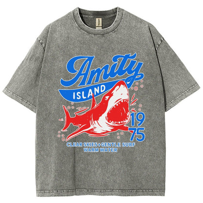 Seaside Town 1975 Vintage Distressed T-shirt