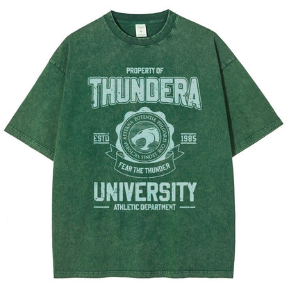 Mystic Valley University Vintage Distressed T-shirt