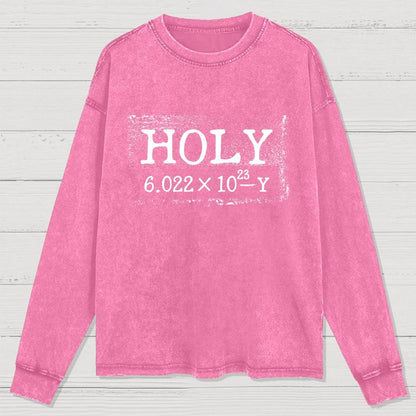 Holy Moley Avogadro Mole  Funny Washed Long Sleeve Tee