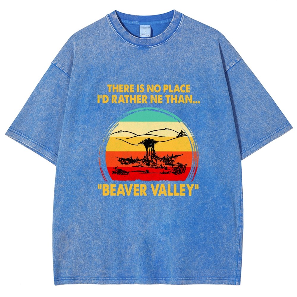 Beaver Valley Vintage Distressed T-shirt
