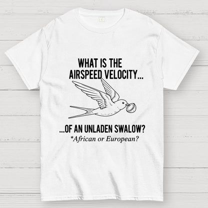 What Is The Airspeed Velocity...Art Print Geek T-Shirt