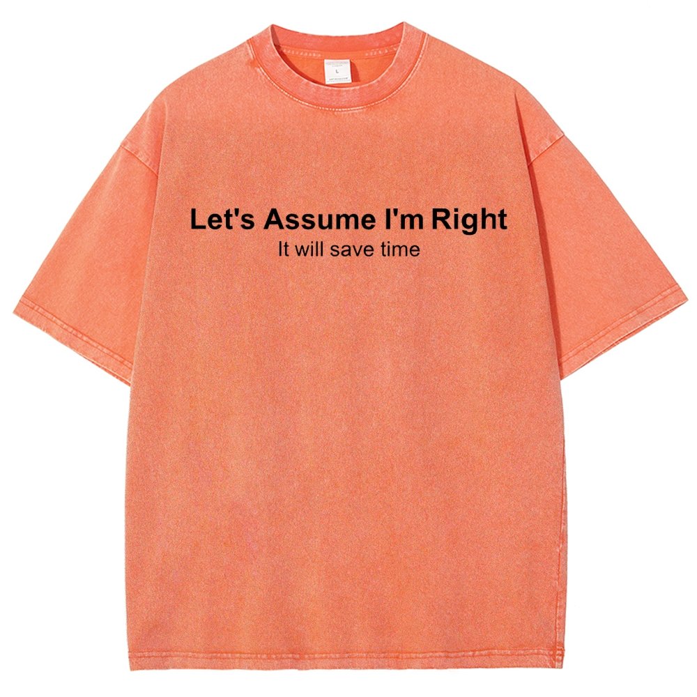 Let's Assume I Am Right Vintage Distressed T-shirt