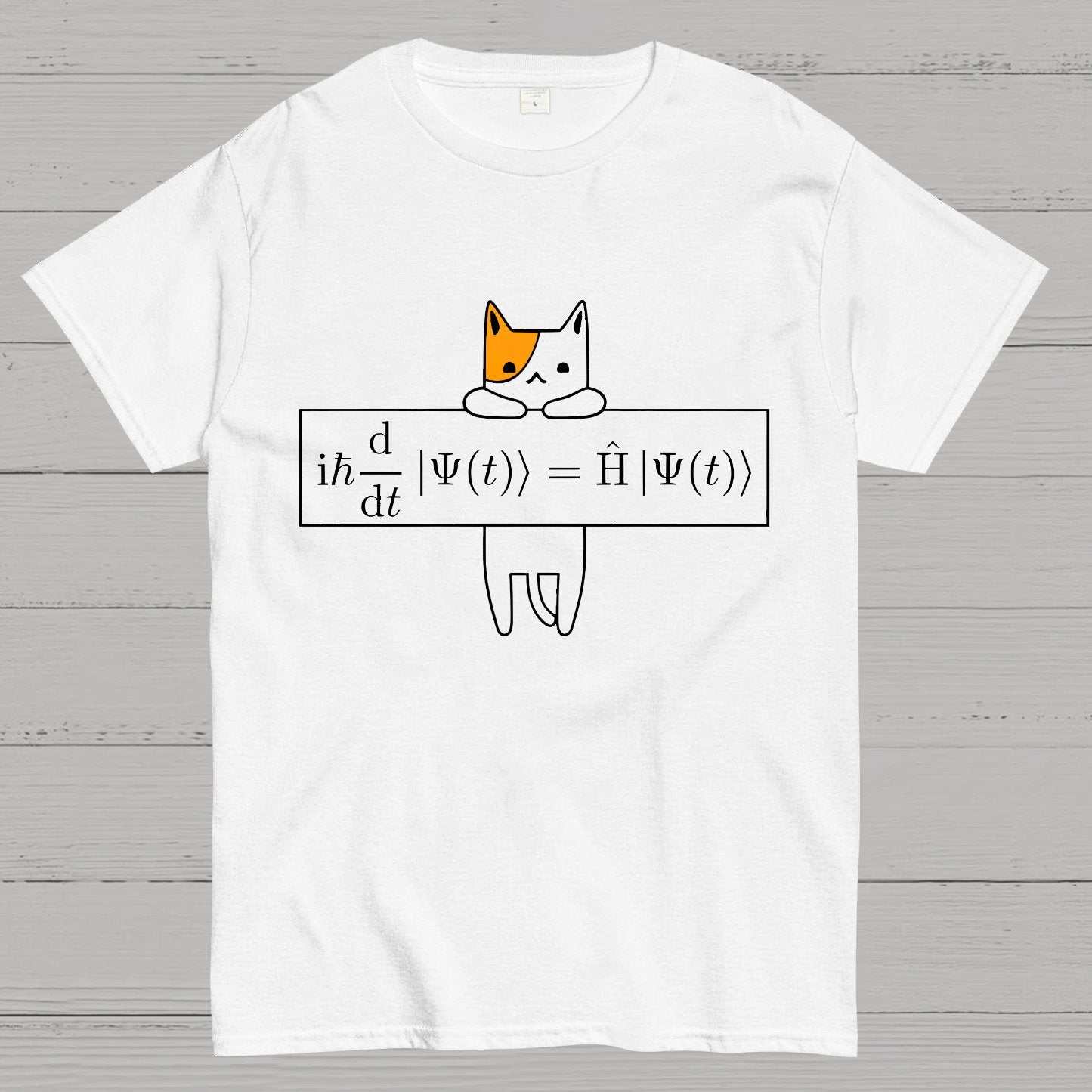 Schrödinger equation Geeky T-Shirt