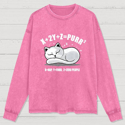 Purrfect Equation Washed Long Sleeve Tee