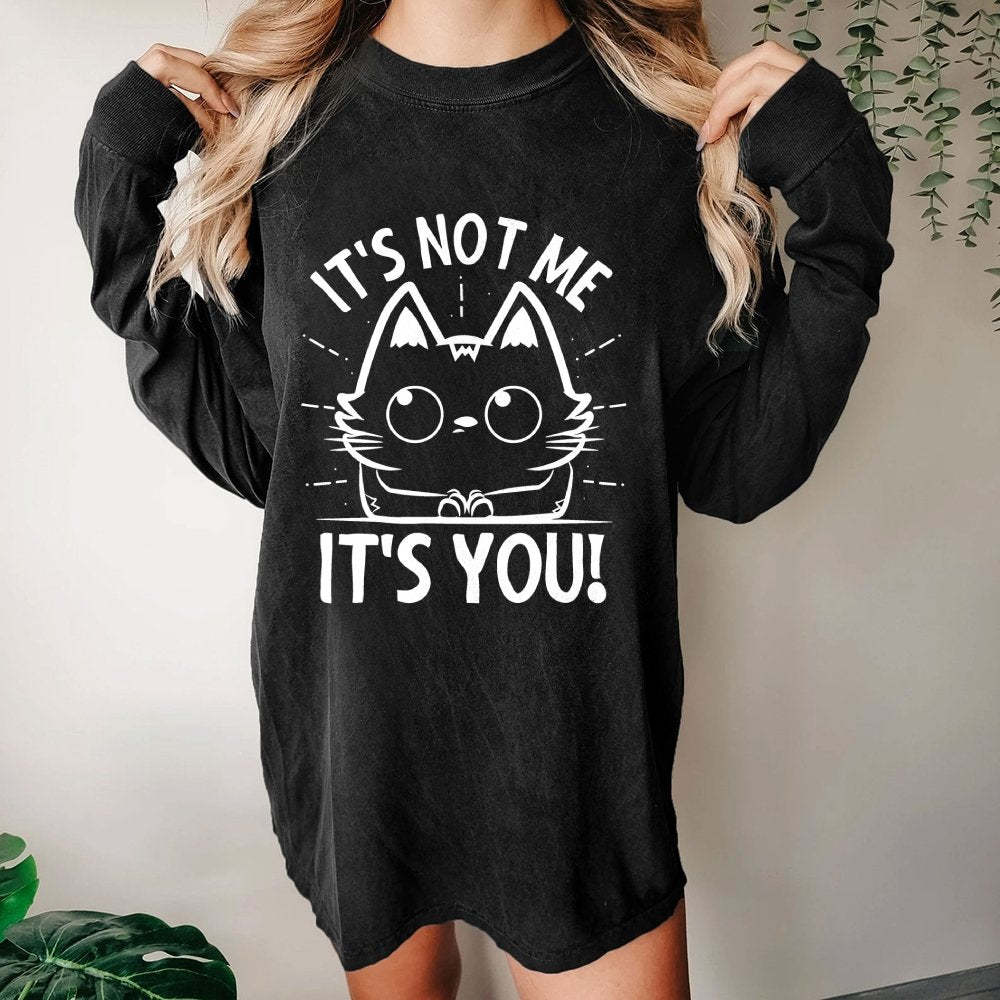 It's Not me It's You Washed Long Sleeve Tee