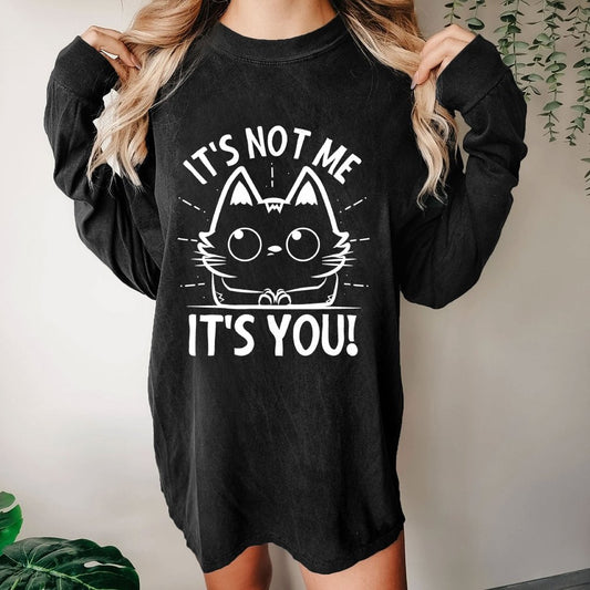 It's Not me It's You Washed Long Sleeve Tee