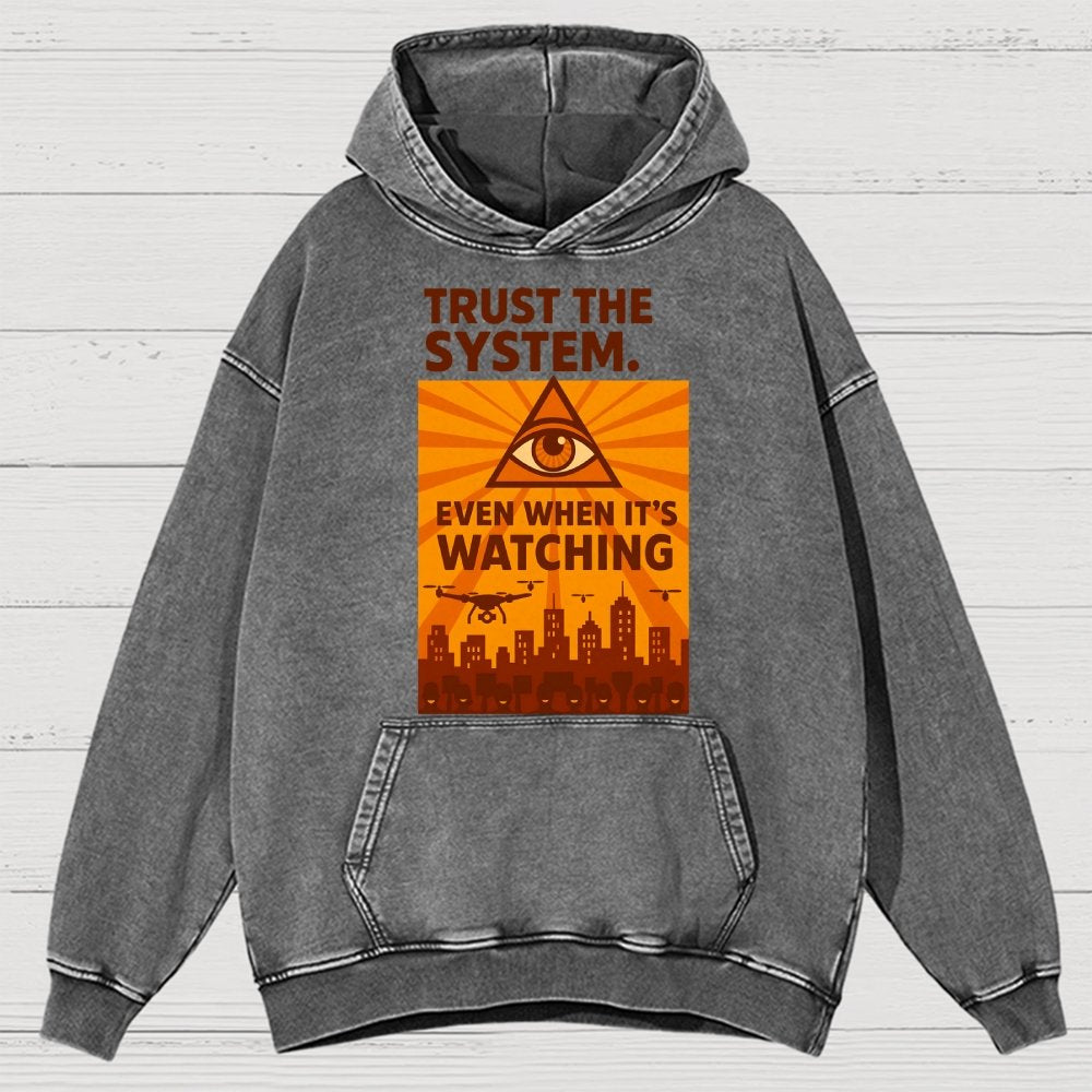 Trust The System - Dystopian Surveillance Vintage Distressed Hoodie