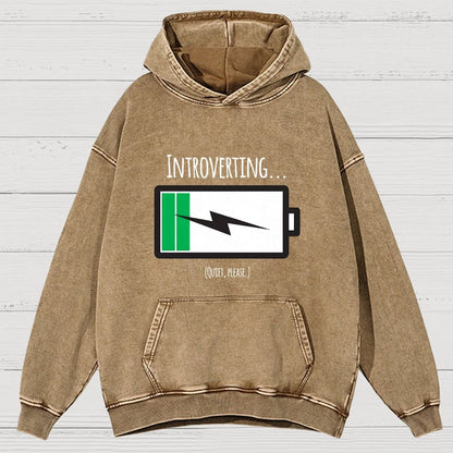 Introverting Vintage Distressed Hoodie