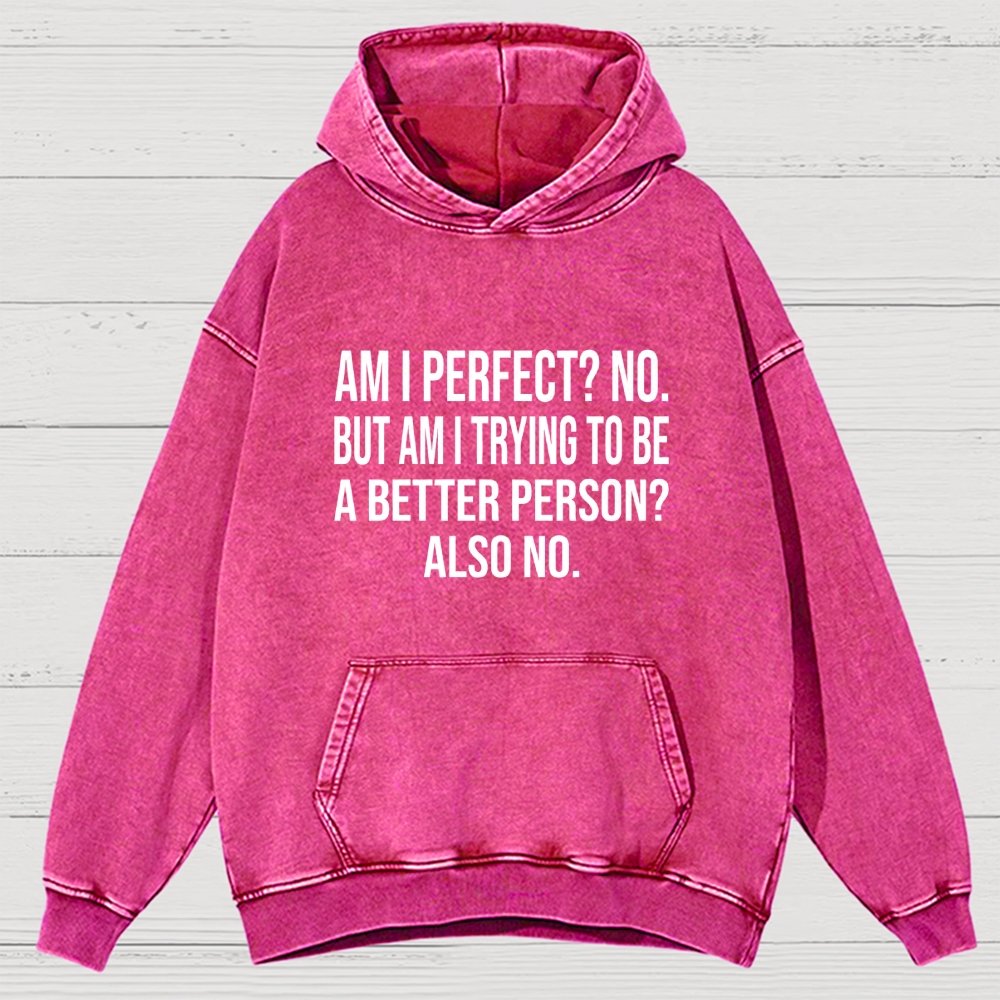 Am I Perfect No But Am I Trying To Be A Better Person Also No Vintage Distressed Hoodie
