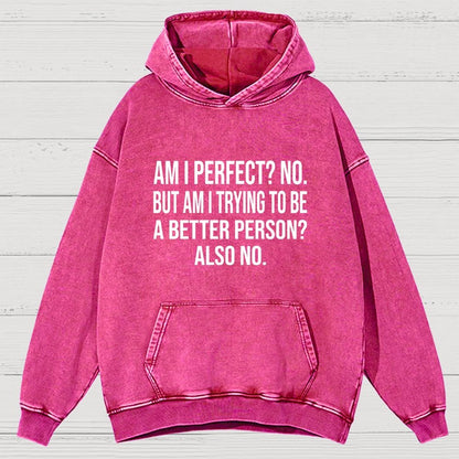 Am I Perfect No But Am I Trying To Be A Better Person Also No Vintage Distressed Hoodie
